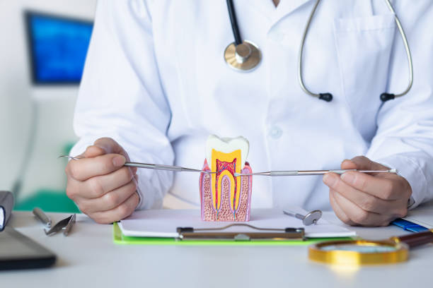 Best Pediatric Emergency Dentist in Santa Claus, IN